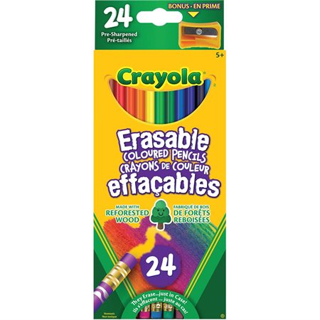 Crayola® IQ Erasable Wood Colouring Pencils