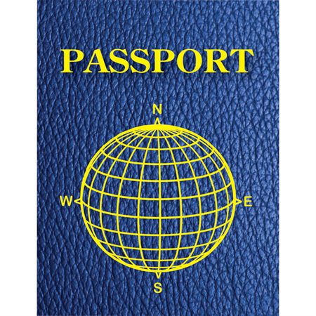 Blank Passports, Pack of 12