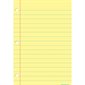 Smart Poly® Chart, 13" x 19", Light Yellow Notebook Paper