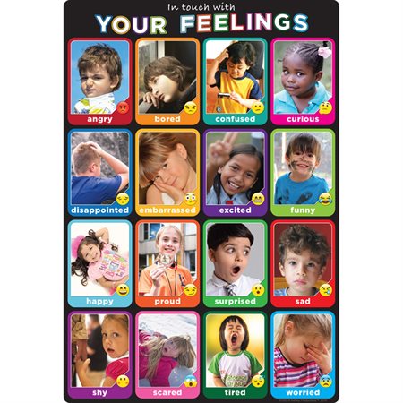 Emotions Photographs 13" x 19" Smart Poly® Chart