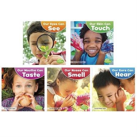 Our Amazing Senses, Set of 5 books