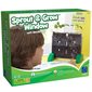 Sprout & Grow Window