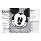 Mickey Mouse® Throwback Lesson Plan & Record Book