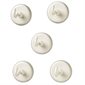 Magnetic Hooks, Set of 5