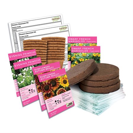 Start Inside and Plant Outside Flowers Classroom Kit