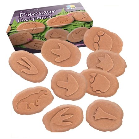 Let's Investigate – Dinosaur Footprints